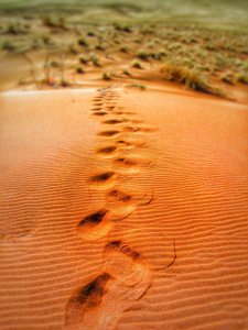 steps-dune-dunes-sand-dunes-65562