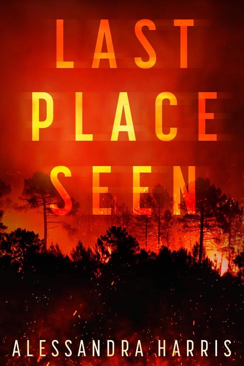 Last Place Seen Cover